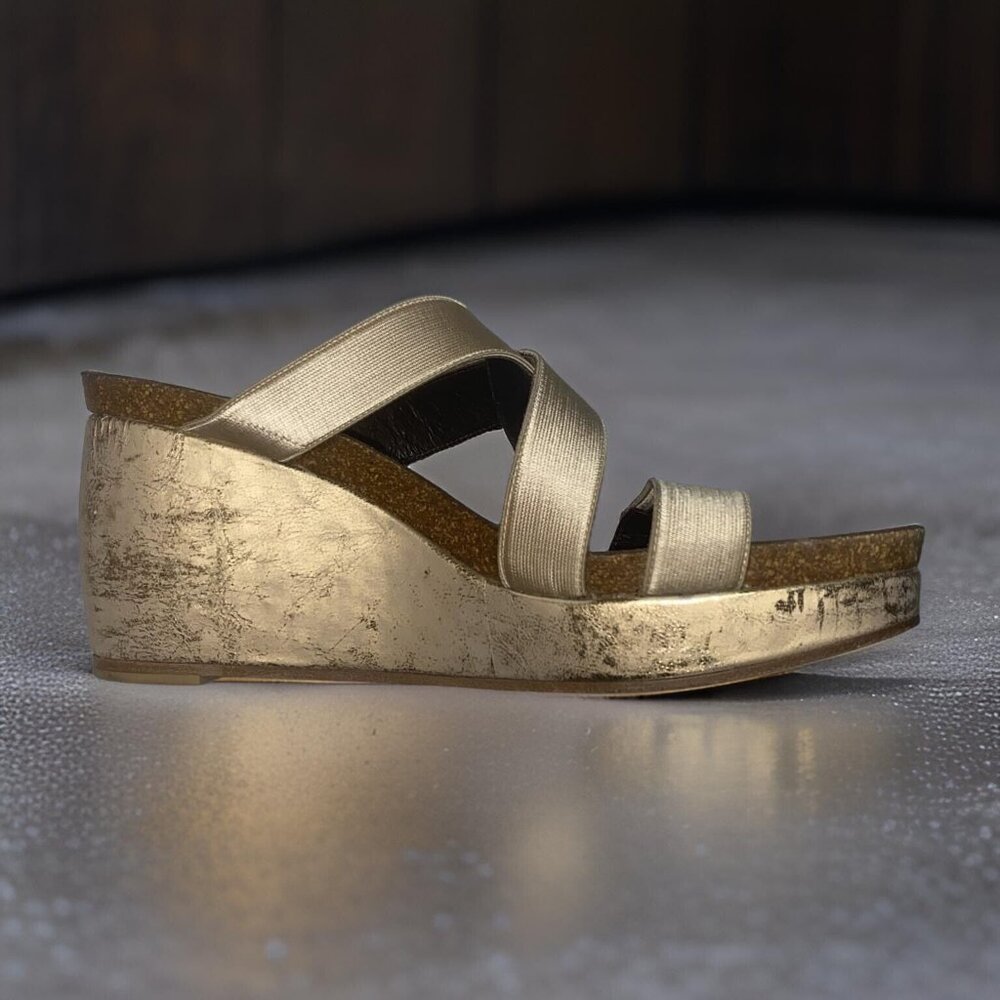 Donald J Pliner Wedge Platform Strappy Metallic "Boske" Sandals Size 8